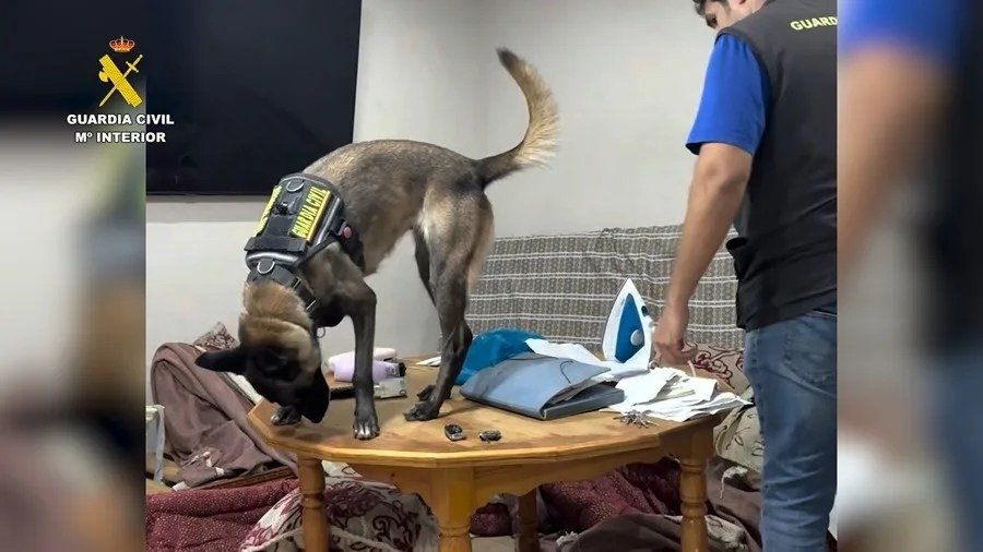 España | Desarticulada en Melilla una red que introducía migrantes por mar: 11 detenidos