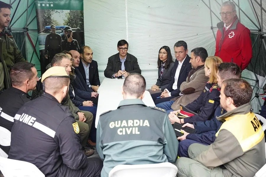 España | La Generalitat amplía la investigación del origen del brote de peste porcina africana a más centros científicos