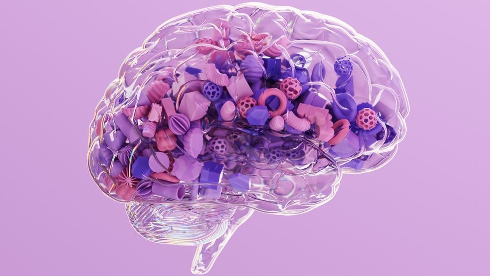 Salud | Comer menos calorías podría ralentizar el envejecimiento cerebral, según estudio en primates