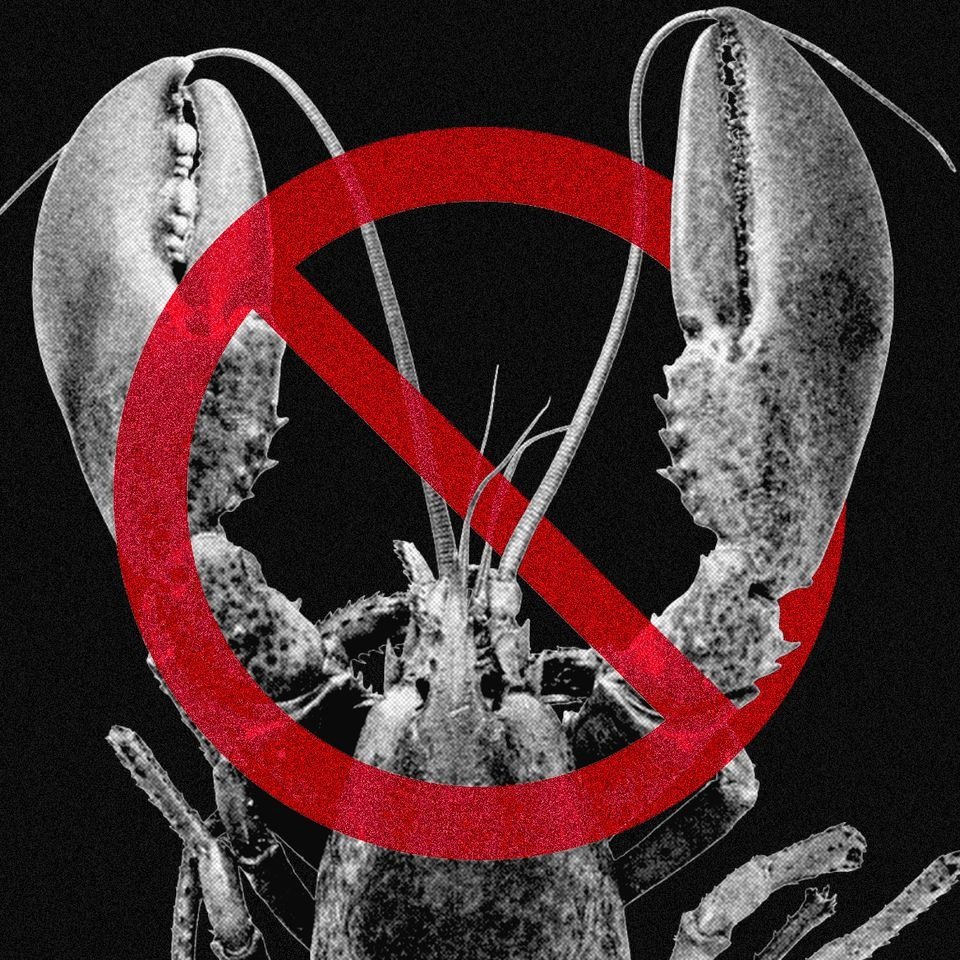 Fotoilustración: Staff de WIRED; Getty Images