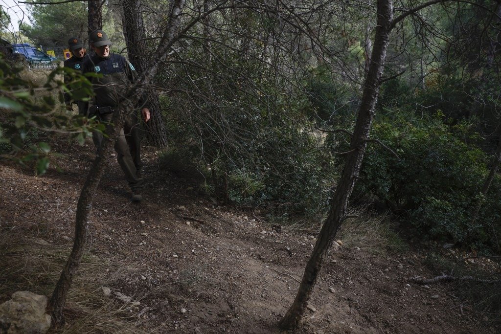 España | Detectan un nuevo caso de PPA en jabalí en Sant Feliu de Llobregat