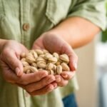 Primer plano de las manos de la mujer sosteniendo el montón de pistacho - Fotografía de stock